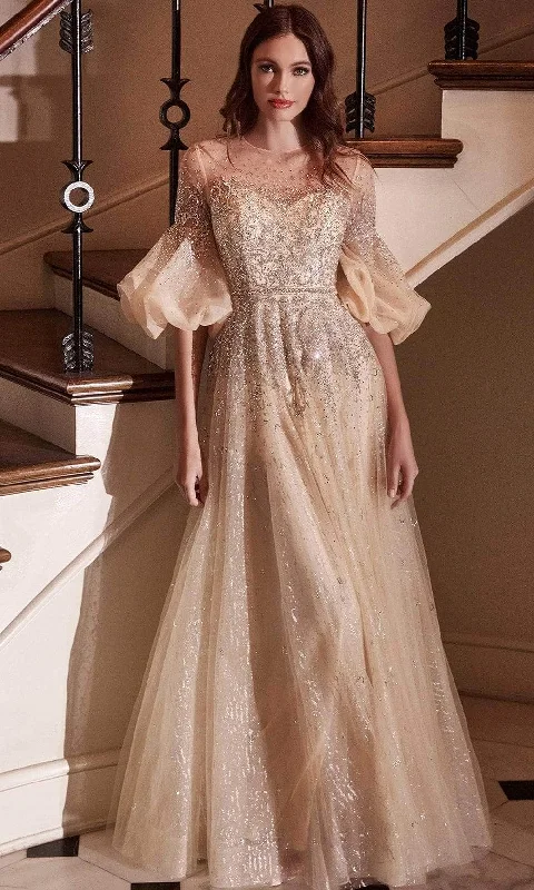 Limited Edition Ladivine B703 - Illusion Neckline Long Gown