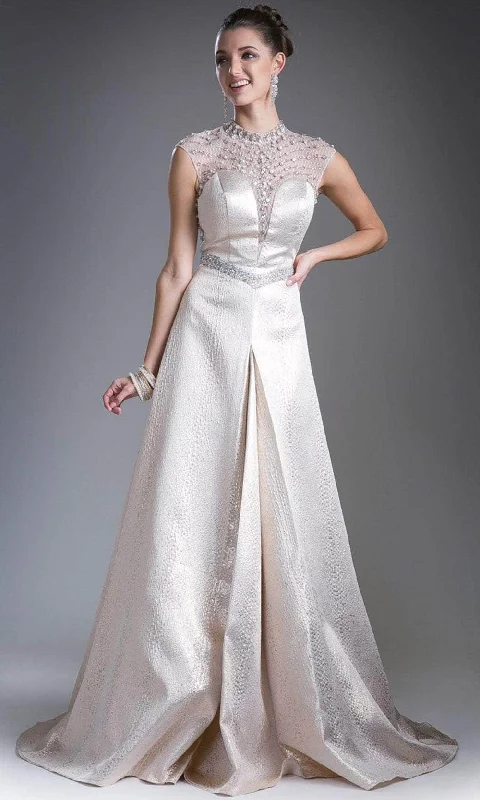 Affordable Women’s Fashion Cinderella Divine 13557 - Illusion High Neck A-Line Gown