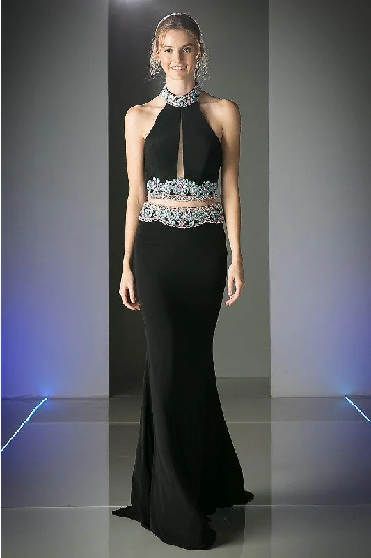 Stylish Statements Cinderella Divine CK29 Sexy Two Piece Dress