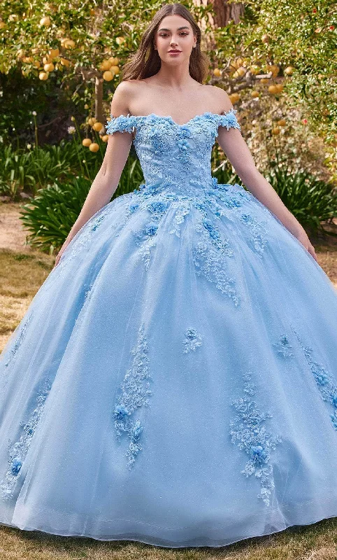 Gift Ideas Cinderella Divine 15702 - Ballgown with Delicate Floral Appliques