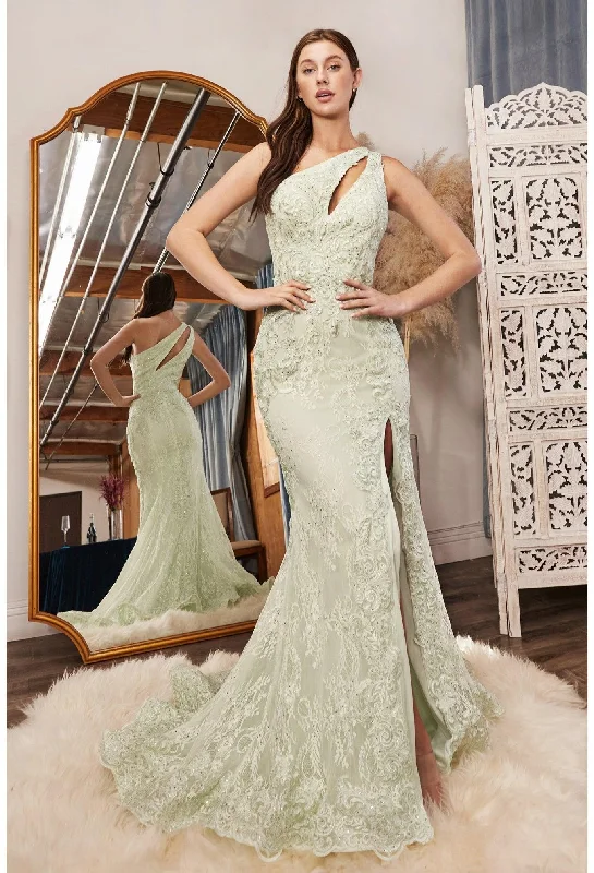 Flash Sale Cinderella Divine CD973 One Shoulder Long Fitted Lace Prom Gown